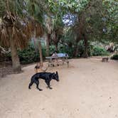Review photo of Riverside Camping — Gamble Rogers Memorial State Recreation Area at Flagler Beach by Joey H., December 18, 2025