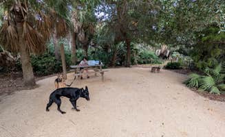 Joey H.'s photo of camping with pets at Riverside Camping — Gamble Rogers Memorial State Recreation Area at Flagler Beach near Palm Coast, FL