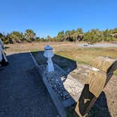 Review photo of Riverside Camping — Gamble Rogers Memorial State Recreation Area at Flagler Beach by Jack D., January 19, 2026