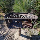 Review photo of Riverside Camping — Gamble Rogers Memorial State Recreation Area at Flagler Beach by Jack D., January 19, 2026
