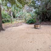 Review photo of Riverside Camping — Gamble Rogers Memorial State Recreation Area at Flagler Beach by Joey H., December 18, 2025