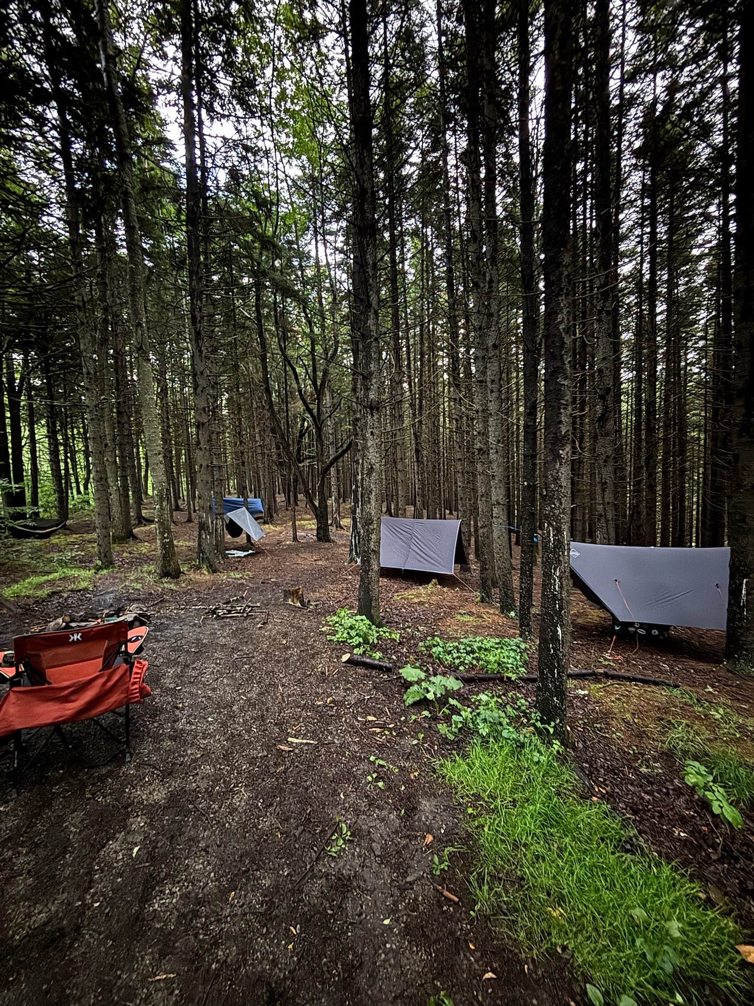 Nathan H.'s photo at Gandy Creek Dispersed Camping near Upper Tract, WV