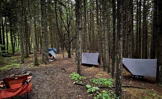 Nathan H.'s photo at Gandy Creek Dispersed Camping near Riverton, WV