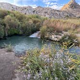 Review photo of Gandy Warm Springs by Mike M., September 28, 2025