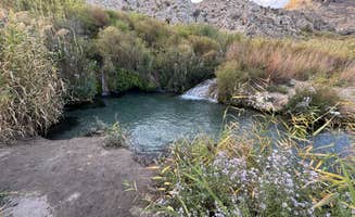Mike M.'s photo of a dispersed camping area at Gandy Warm Springs near Great Basin National Park