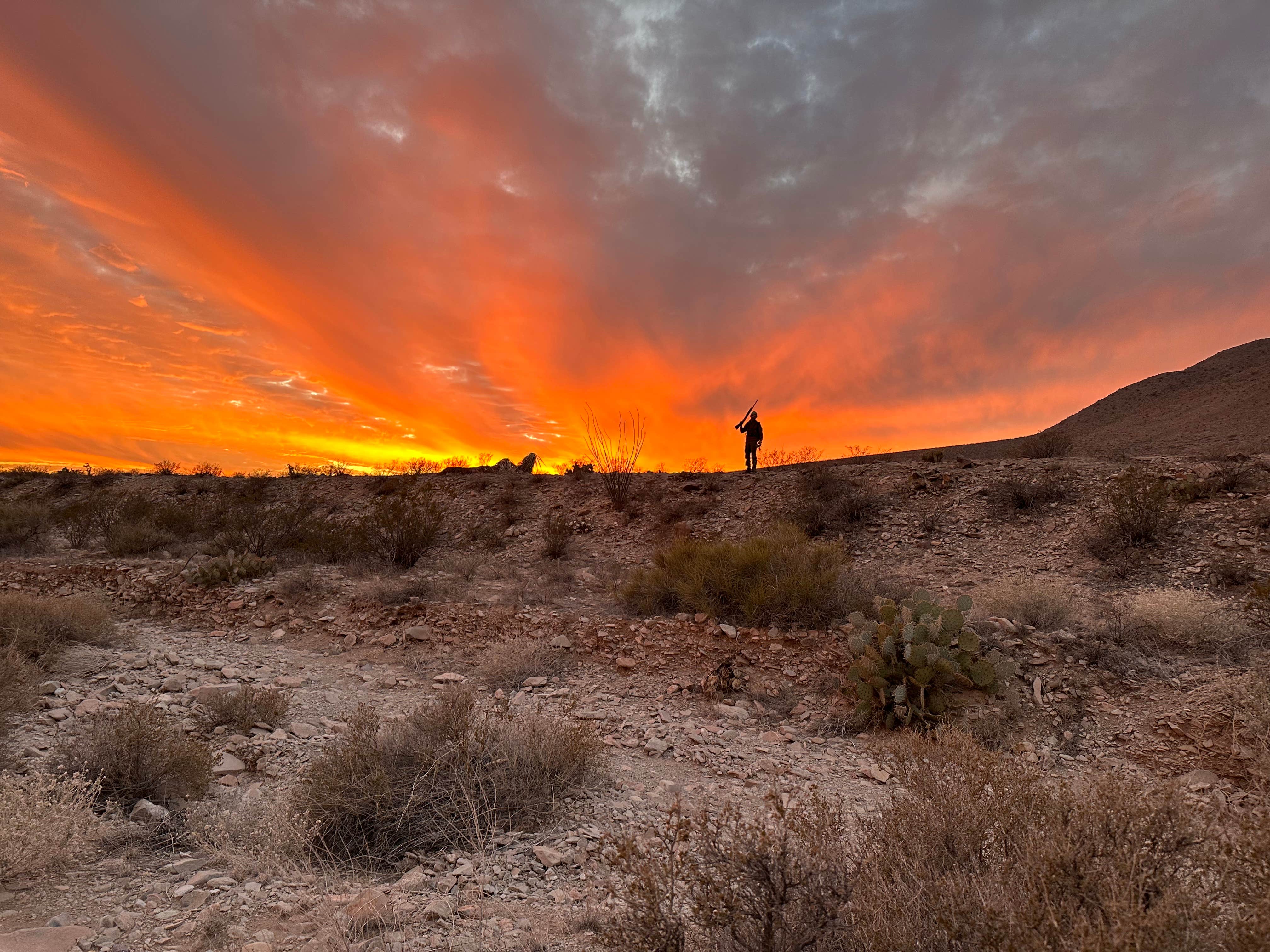 Camper-submitted photo at Gap Tank dispersed camping near Deming, NM