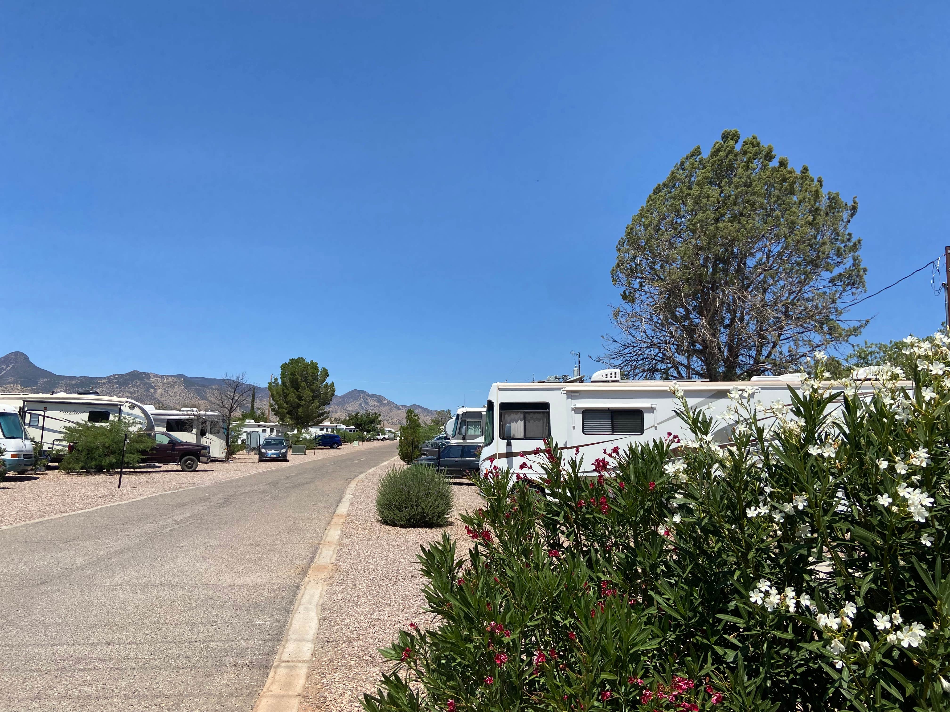 Camper-submitted photo at Garden Grove RV Park near Huachuca City, AZ