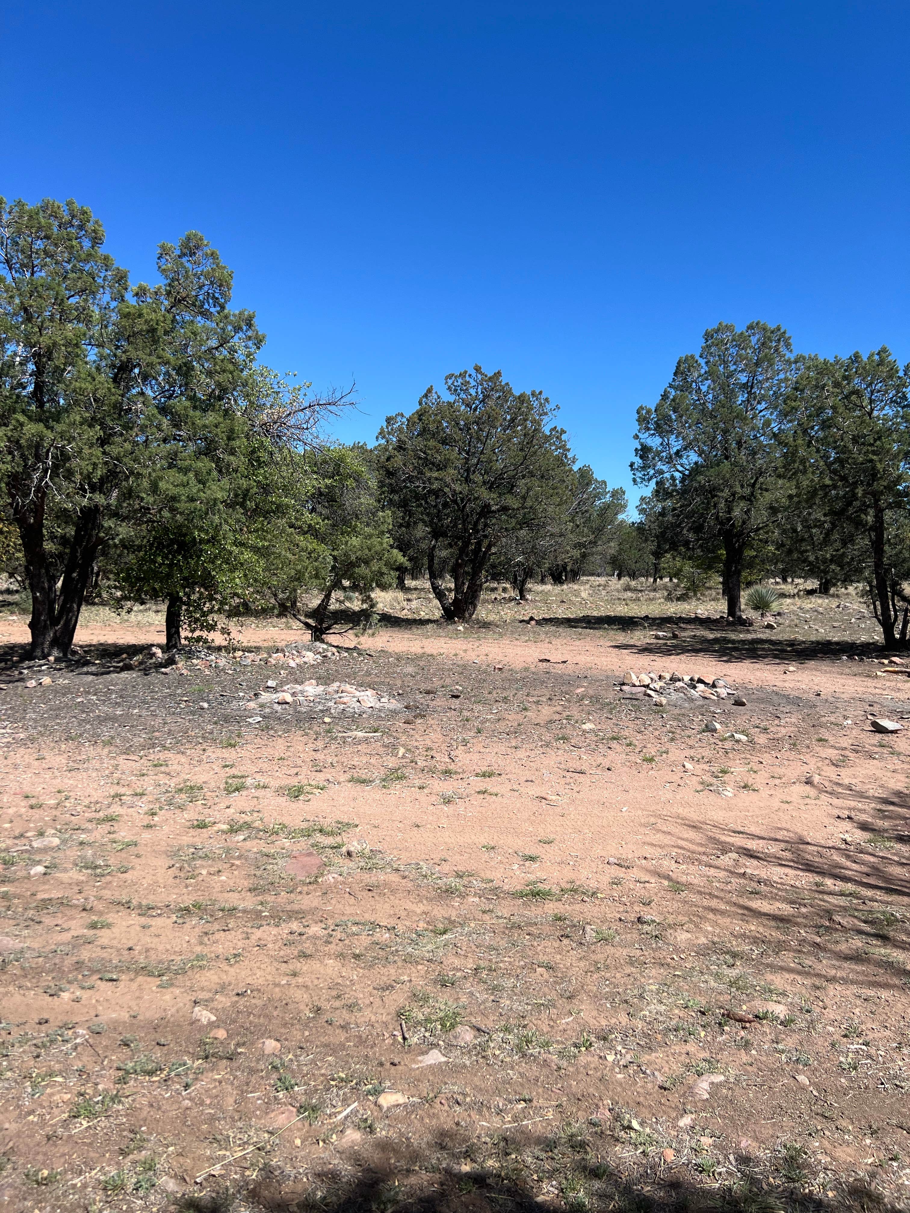 Camping near Proctor Road Dispersed Camping - Site 3b: Gardner Canyon Rd Dispersed, Sonoita, Arizona