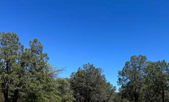 Camping near Empire Ranch: Gardner Canyon Rd Dispersed, Sonoita, Arizona