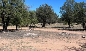 Camping near Rancho del Nido: Gardner Canyon Rd Dispersed, Sonoita, Arizona