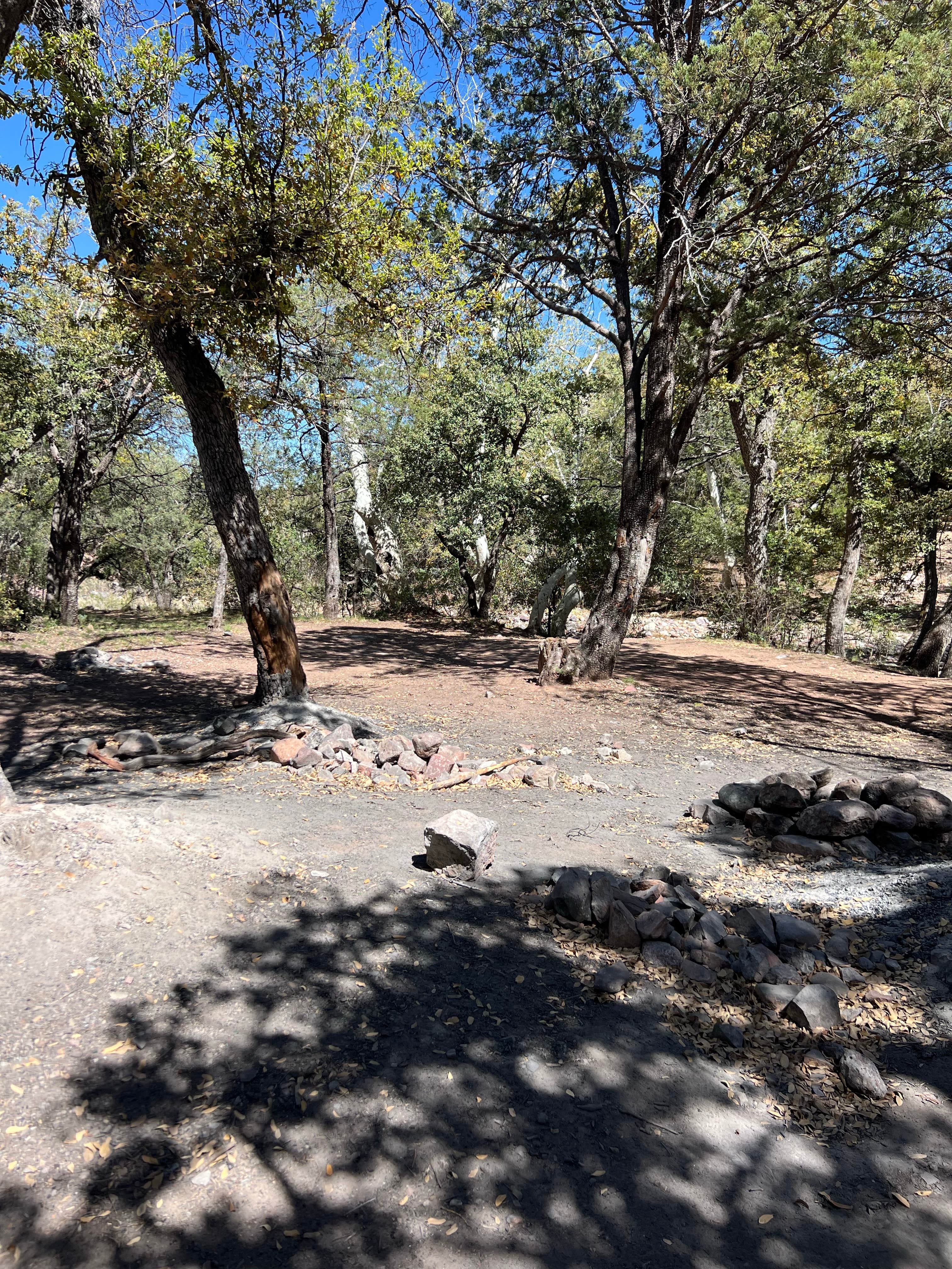 Camper-submitted photo at Gardner Canyon Rd Dispersed near Sonoita, AZ