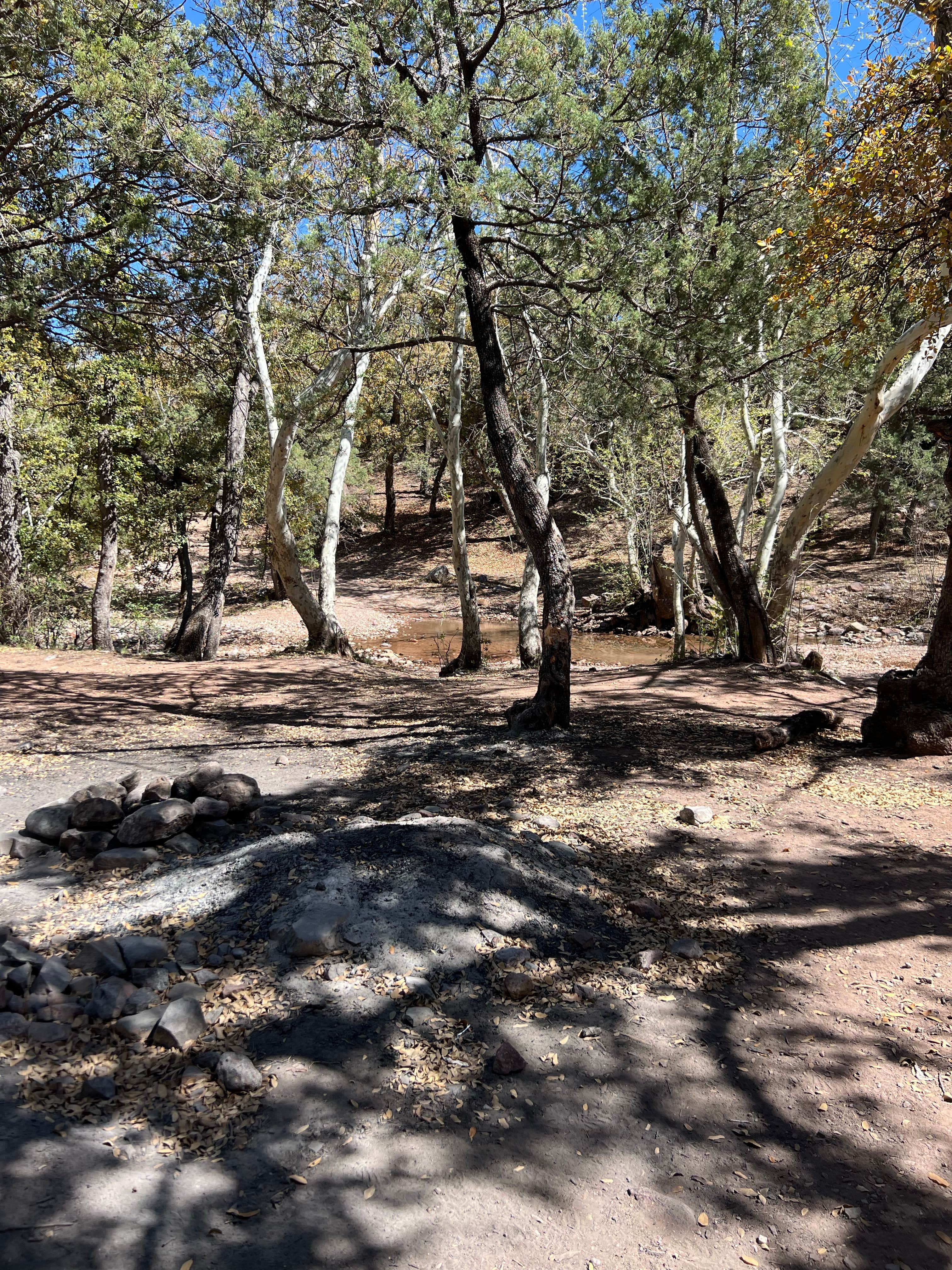 Camper-submitted photo at Gardner Canyon Rd Dispersed near Sonoita, AZ