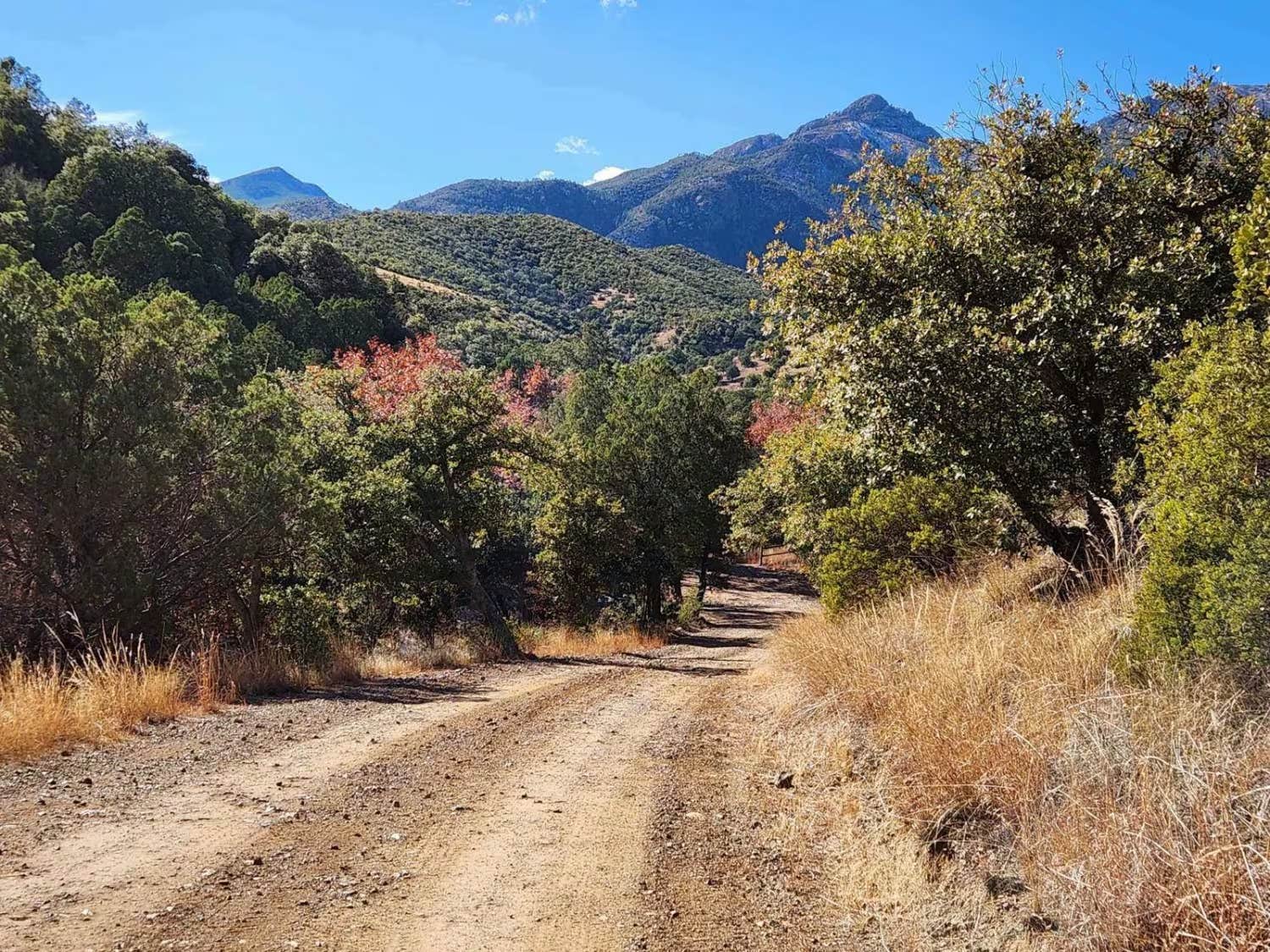 Camper-submitted photo at Gardner Canyon Rd Dispersed near Sonoita, AZ