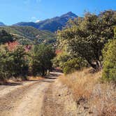 Review photo of Gardner Canyon Rd Dispersed by Shane W., June 3, 2024