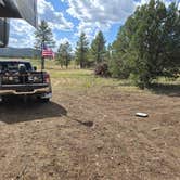 Review photo of Garland Prairie Rd Dispersed Camping by Jim S., June 26, 2026