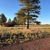 Review photo of Garland Prairie Rd Dispersed Camping by Penny S., June 12, 2026
