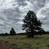 Review photo of Garland Prairie Rd Dispersed Camping by julian T., September 6, 2024