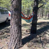Review photo of Garland Prairie Rd Dispersed Camping by Imerie T., March 30, 2026