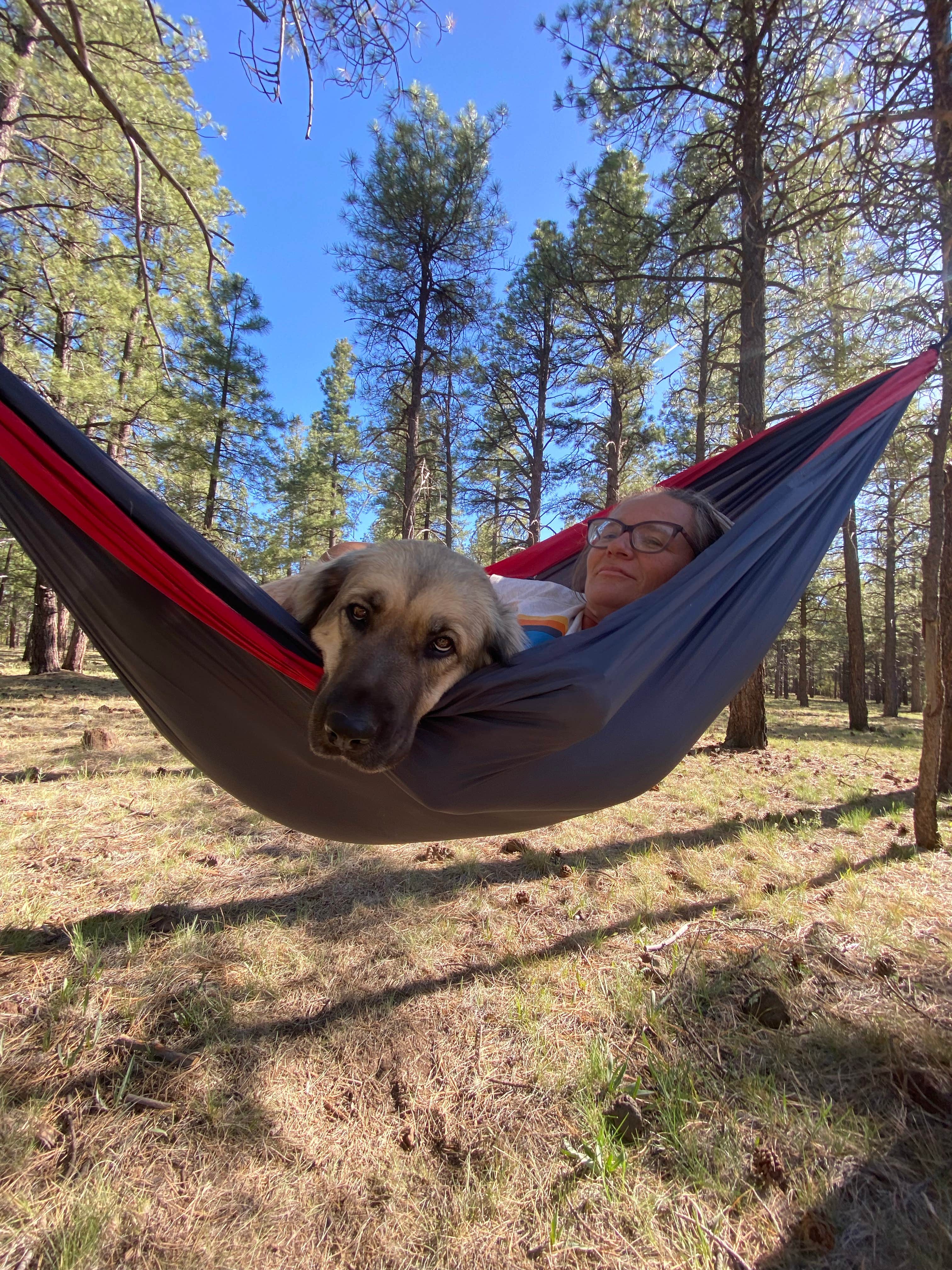 Imerie T.'s photo of camping with pets at Garland Prairie Rd Dispersed Camping near Williams, AZ