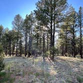 Review photo of Garland Prairie Rd Dispersed Camping by Paulette W., May 15, 2026