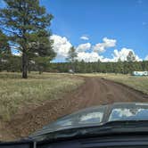 Review photo of Garland Prairie Rd Dispersed Camping by Jim S., June 26, 2026