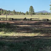 Review photo of Garland Prairie Rd Dispersed Camping by Paulette W., May 15, 2026
