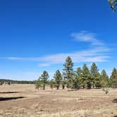 Review photo of Garland Prairie Rd Dispersed Camping by Nick D., November 27, 2025
