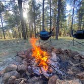 Review photo of Garland Prairie Rd Dispersed Camping by Imerie T., March 30, 2026