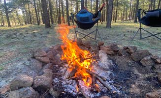 Imerie T.'s photo at Garland Prairie Rd Dispersed Camping near Williams, AZ