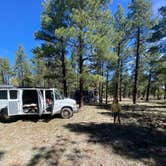 Review photo of Garland Prairie Rd Dispersed Camping by Imerie T., March 30, 2026