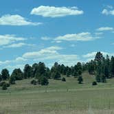 Review photo of Garland Prairie Rd Dispersed Camping by Paulette W., May 15, 2026