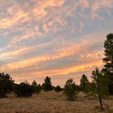 Review photo of Garland Prairie Rd Dispersed Camping by David P., October 26, 2024