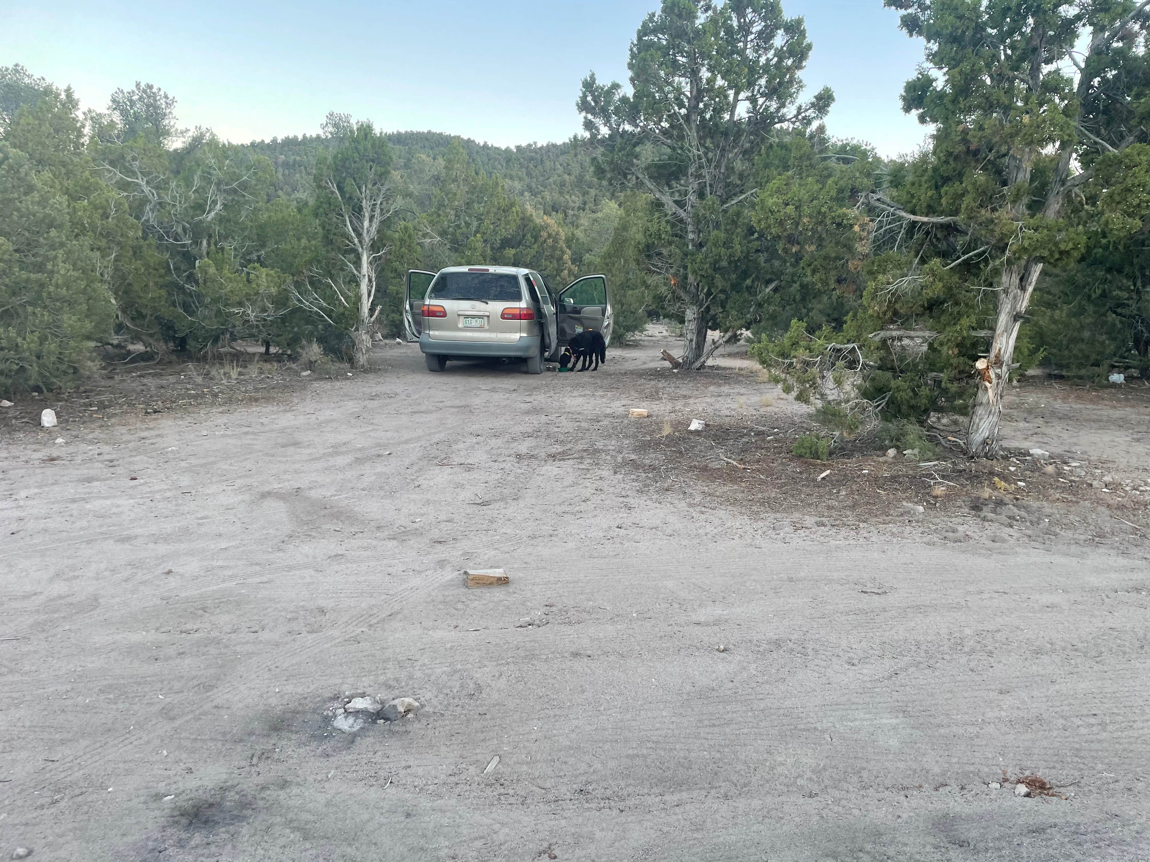 Truly W.'s photo of camping with pets at Garnet Hill Camp near Great Basin National Park