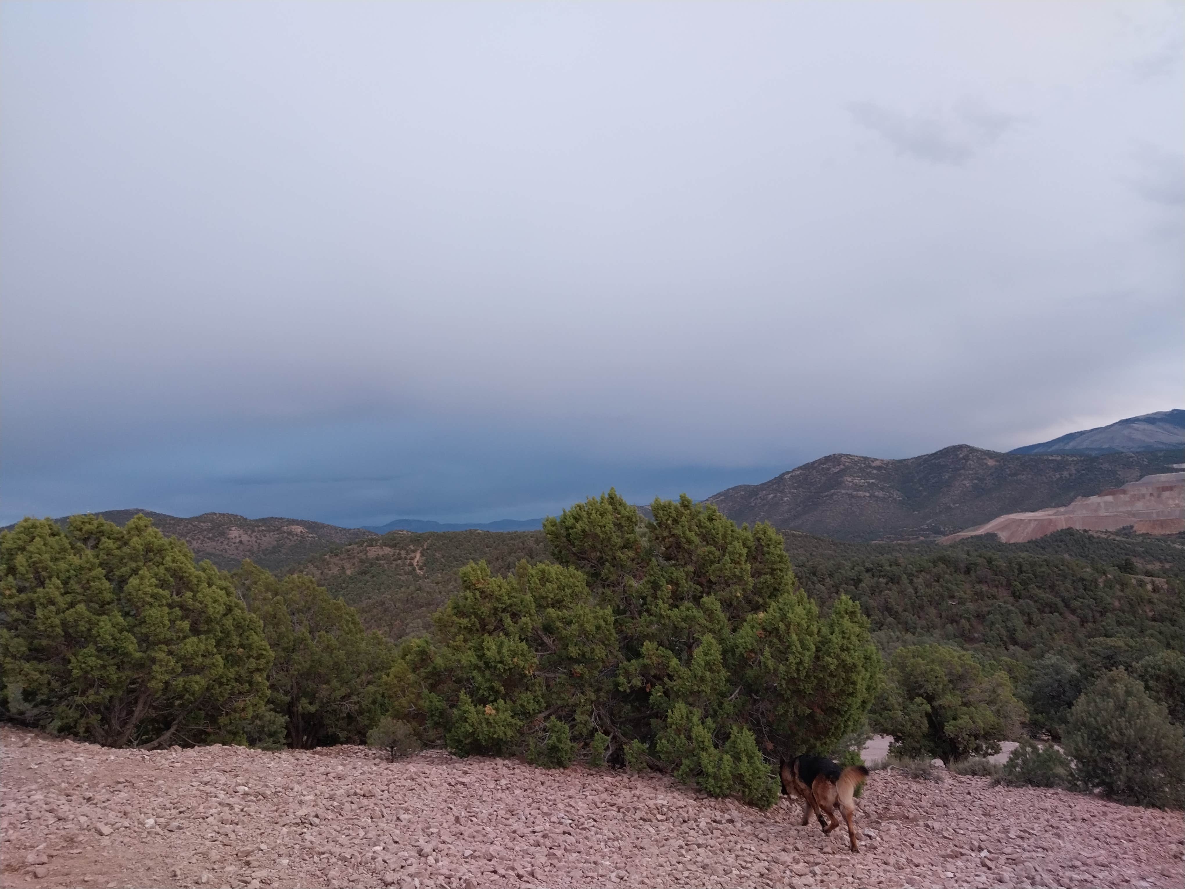 Tymika B.'s photo of camping with pets at Garnet Hill Camp near Great Basin National Park
