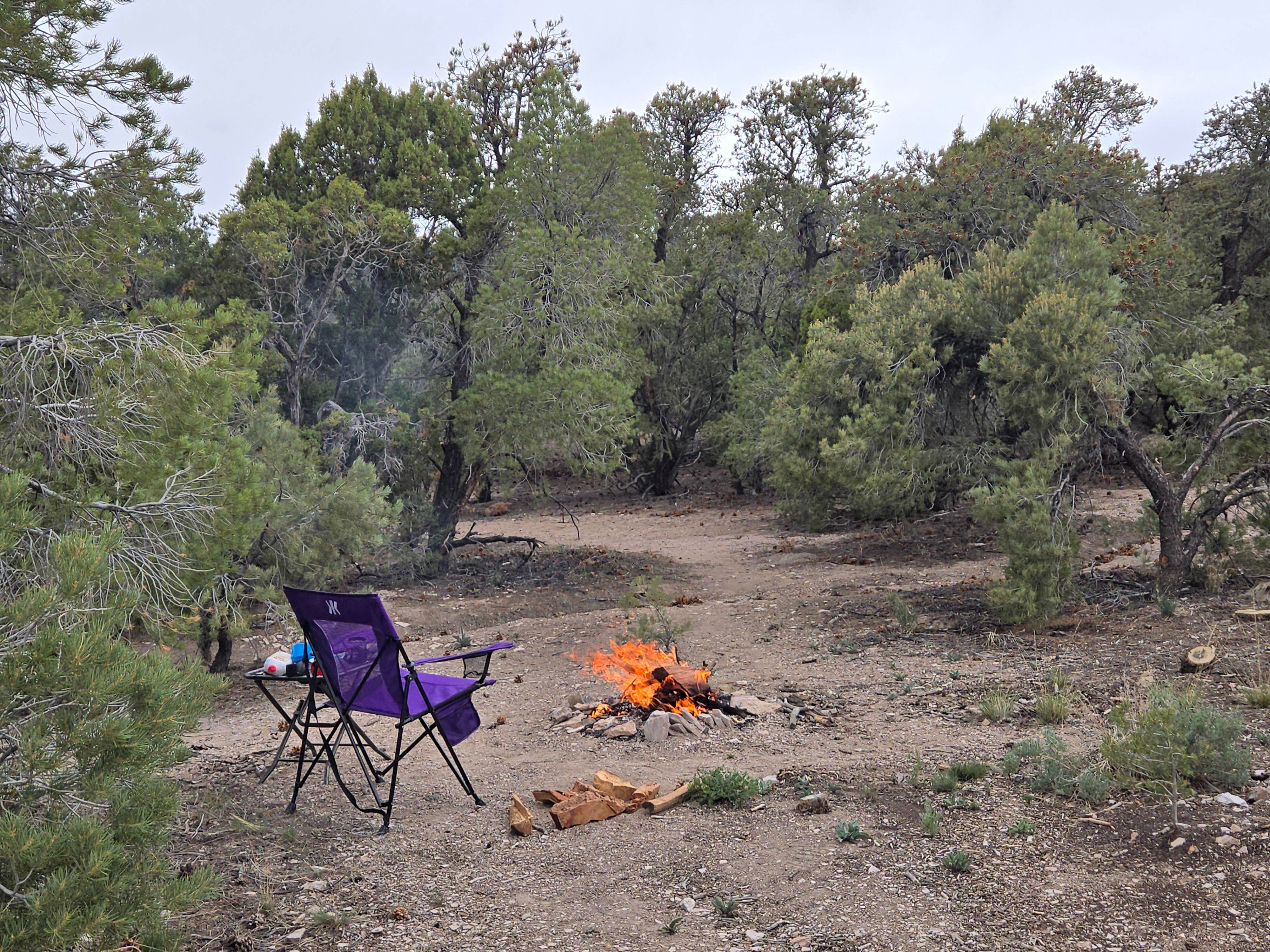 Camper-submitted photo at Garnet Hill Camp near Duckwater, NV
