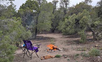 Steve M.'s photo of a dispersed camping area at Garnet Hill Camp near Great Basin National Park