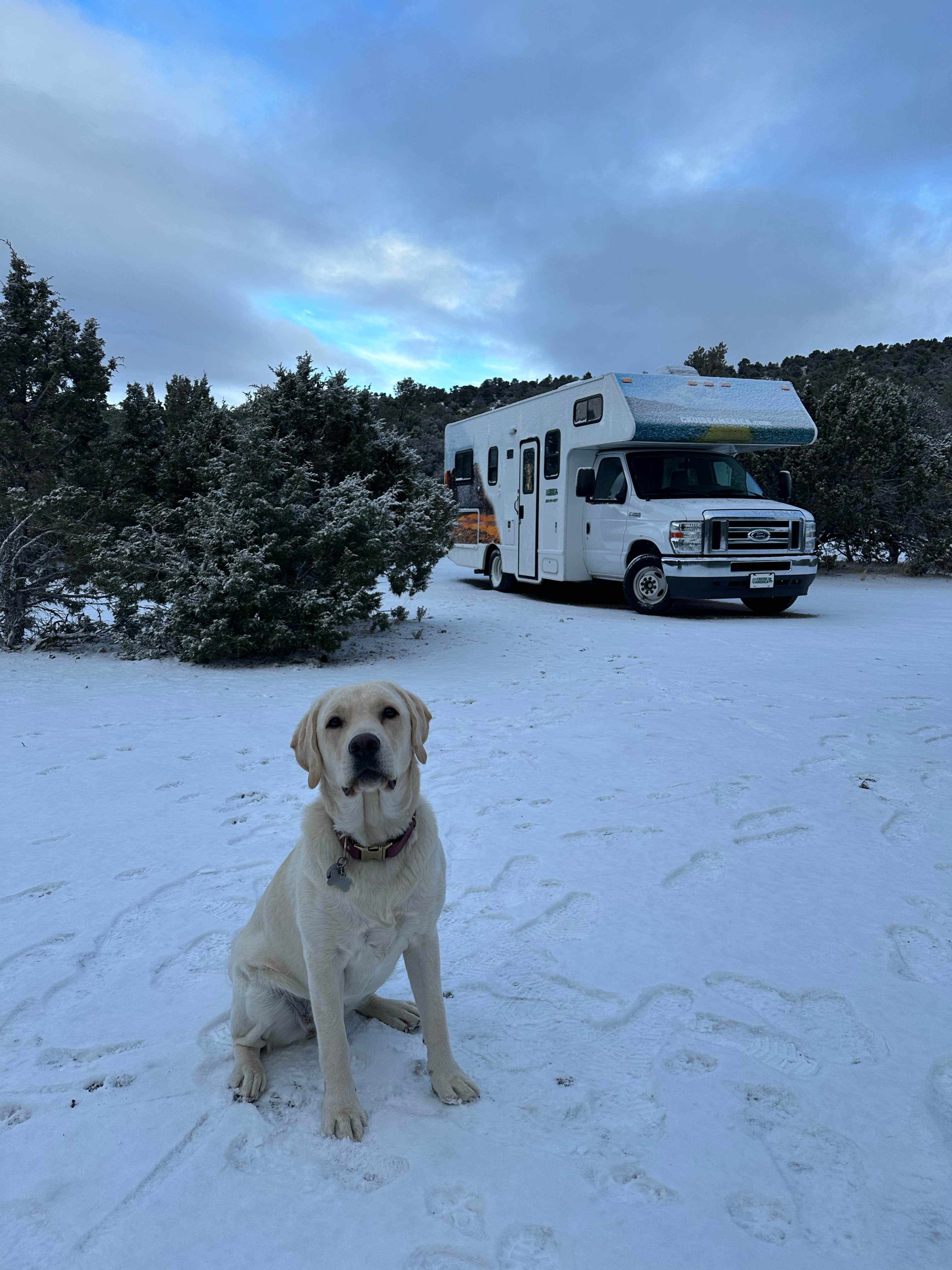 Alex H.'s photo of camping with pets at Garnet Hill Camp in Nevada