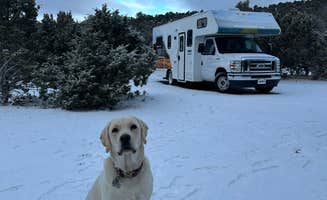 Alex H.'s photo of camping with pets at Garnet Hill Camp in Nevada