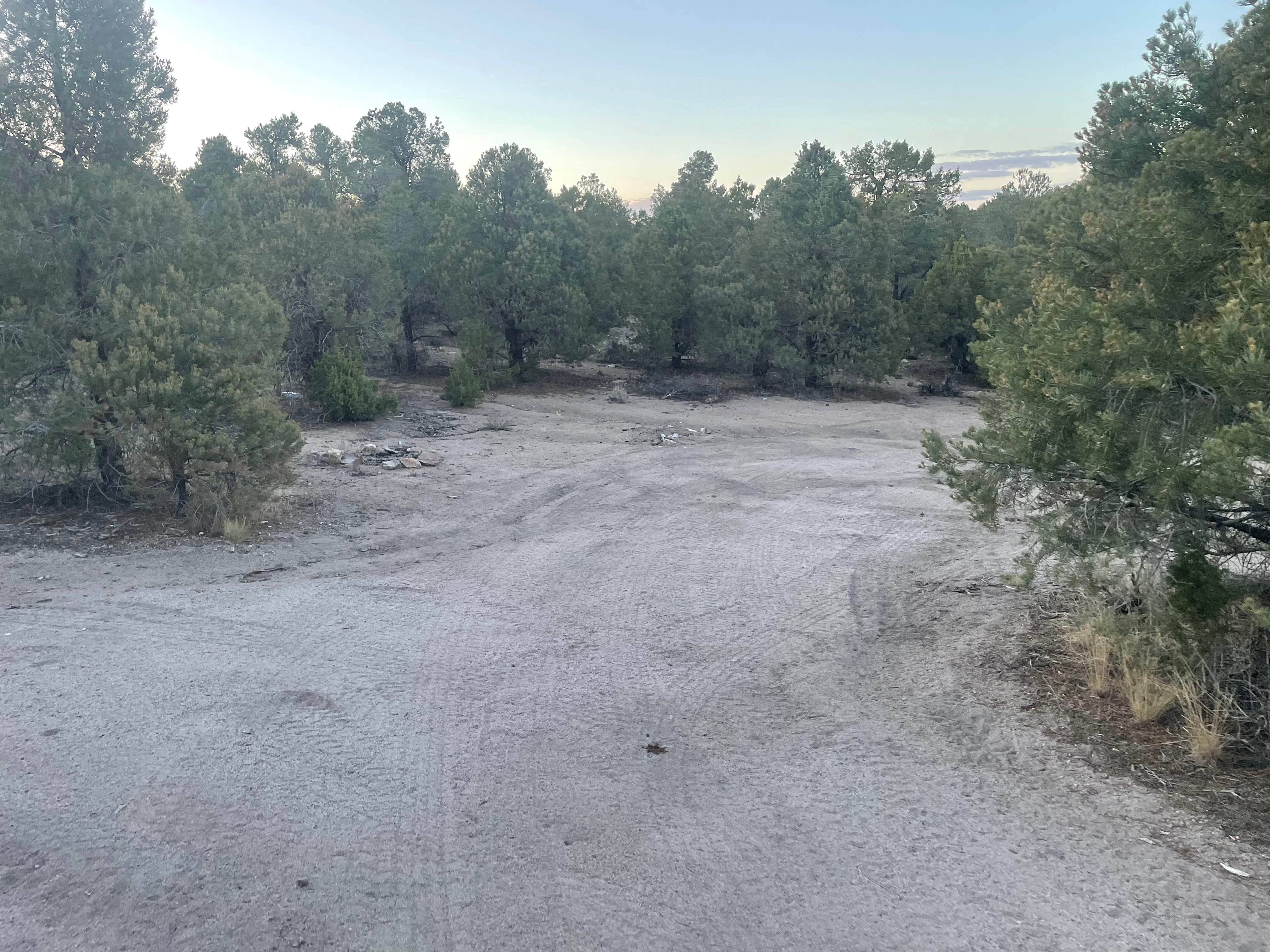 Camper-submitted photo at Garnet Hill Camp near Duckwater, NV