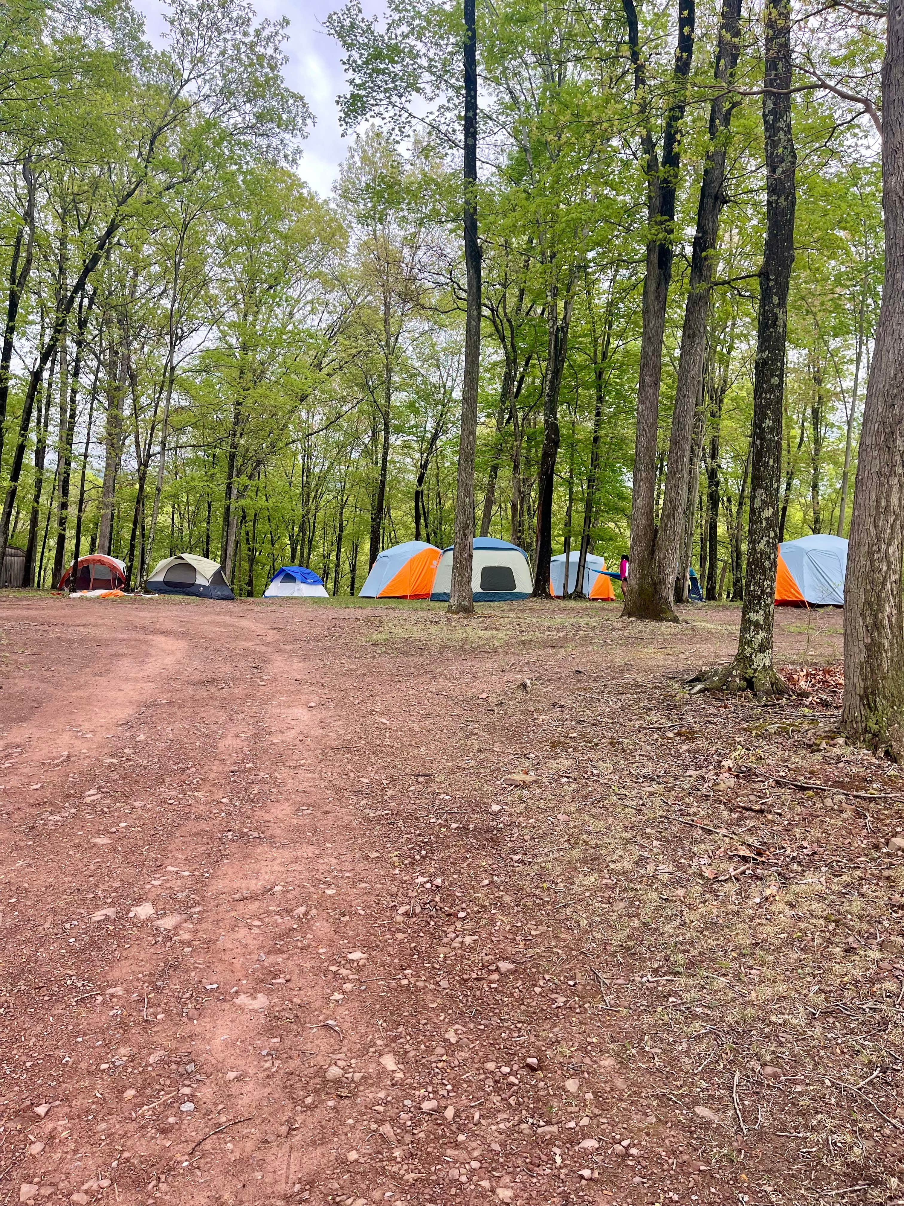 Camper-submitted photo at Gary's Family Campground near Little Orleans, MD