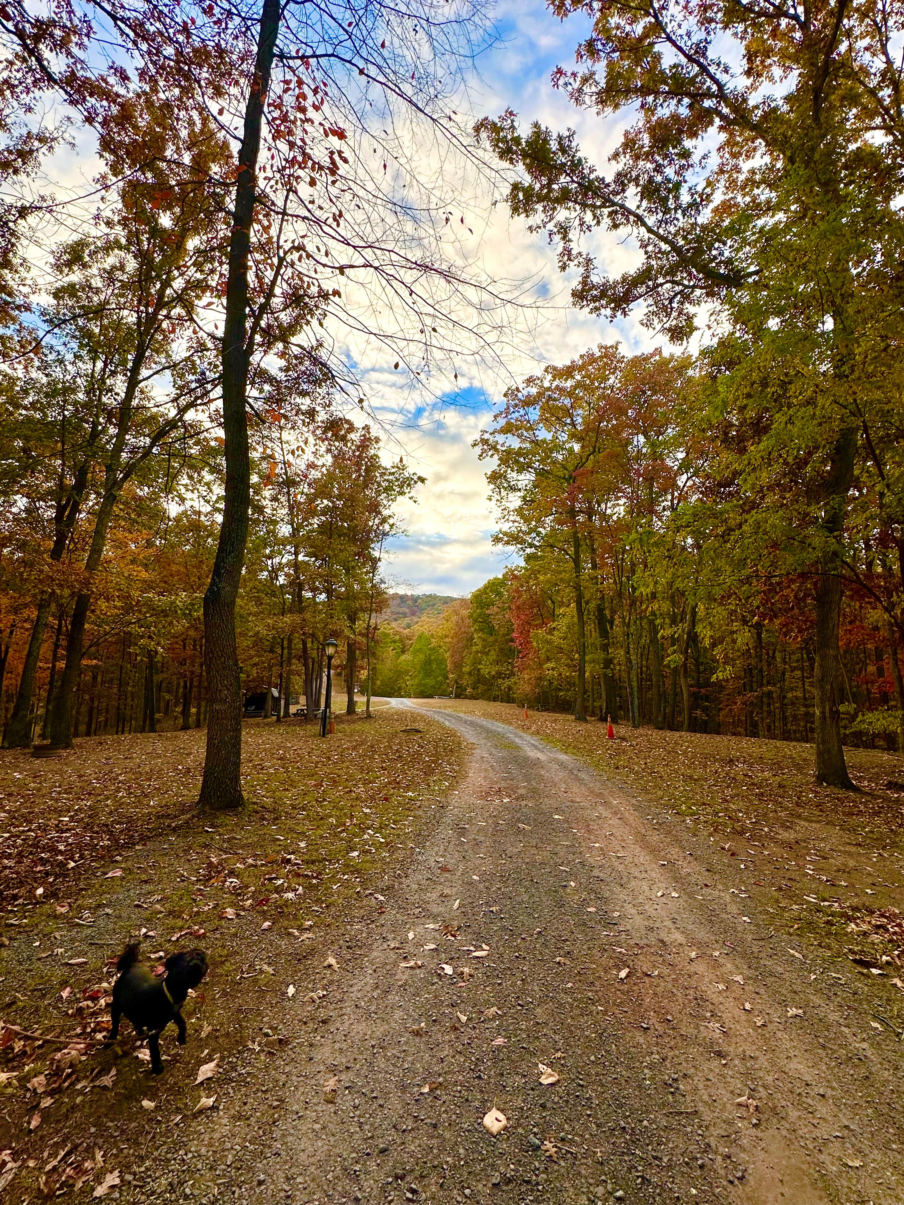 Charissa C.'s photo of camping with pets at Gary's Family Campground near Schellsburg, PA