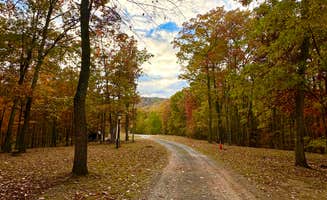Charissa C.'s photo of camping with pets at Gary's Family Campground near Cumberland, MD