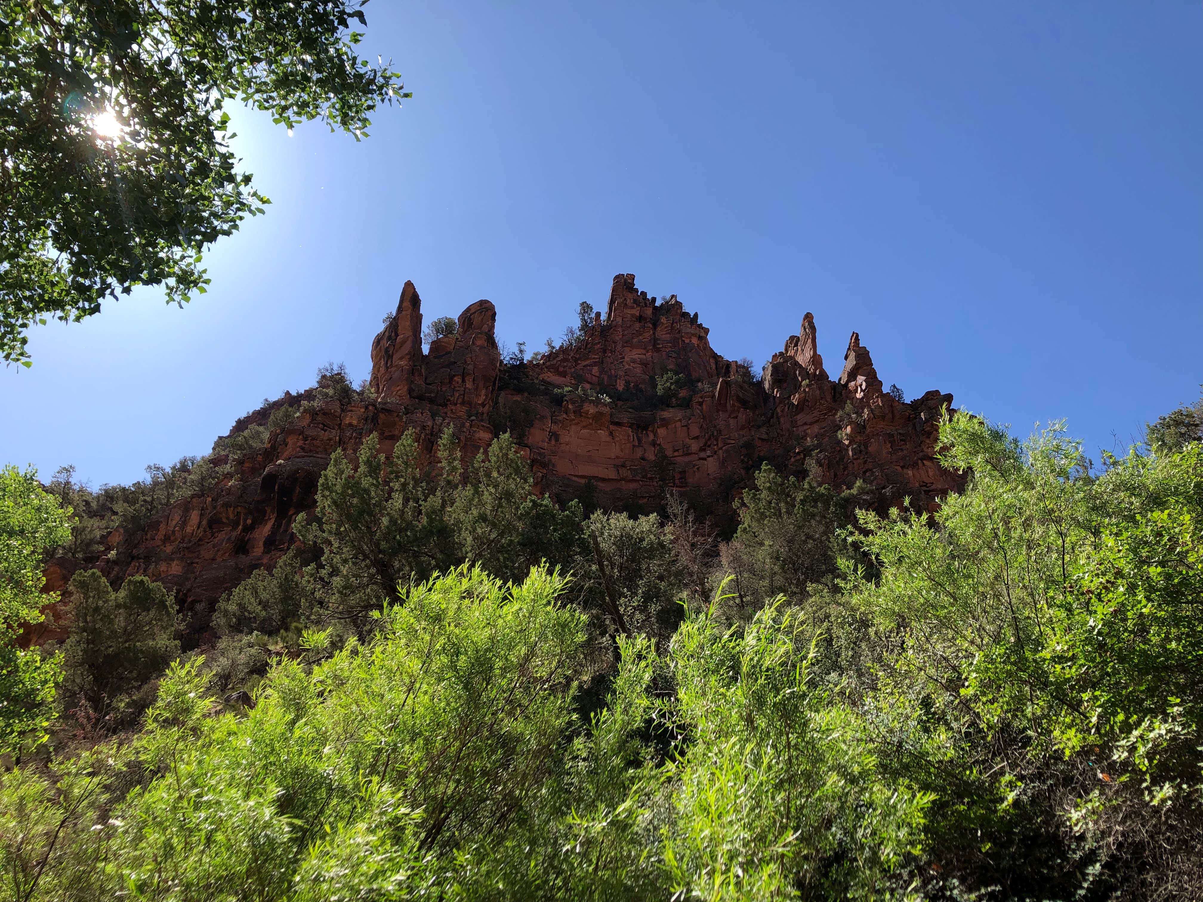 Joshua D.'s photo of a dispersed camping area at Gateway Recreation Area Dispersed, BLM near Nucla, CO