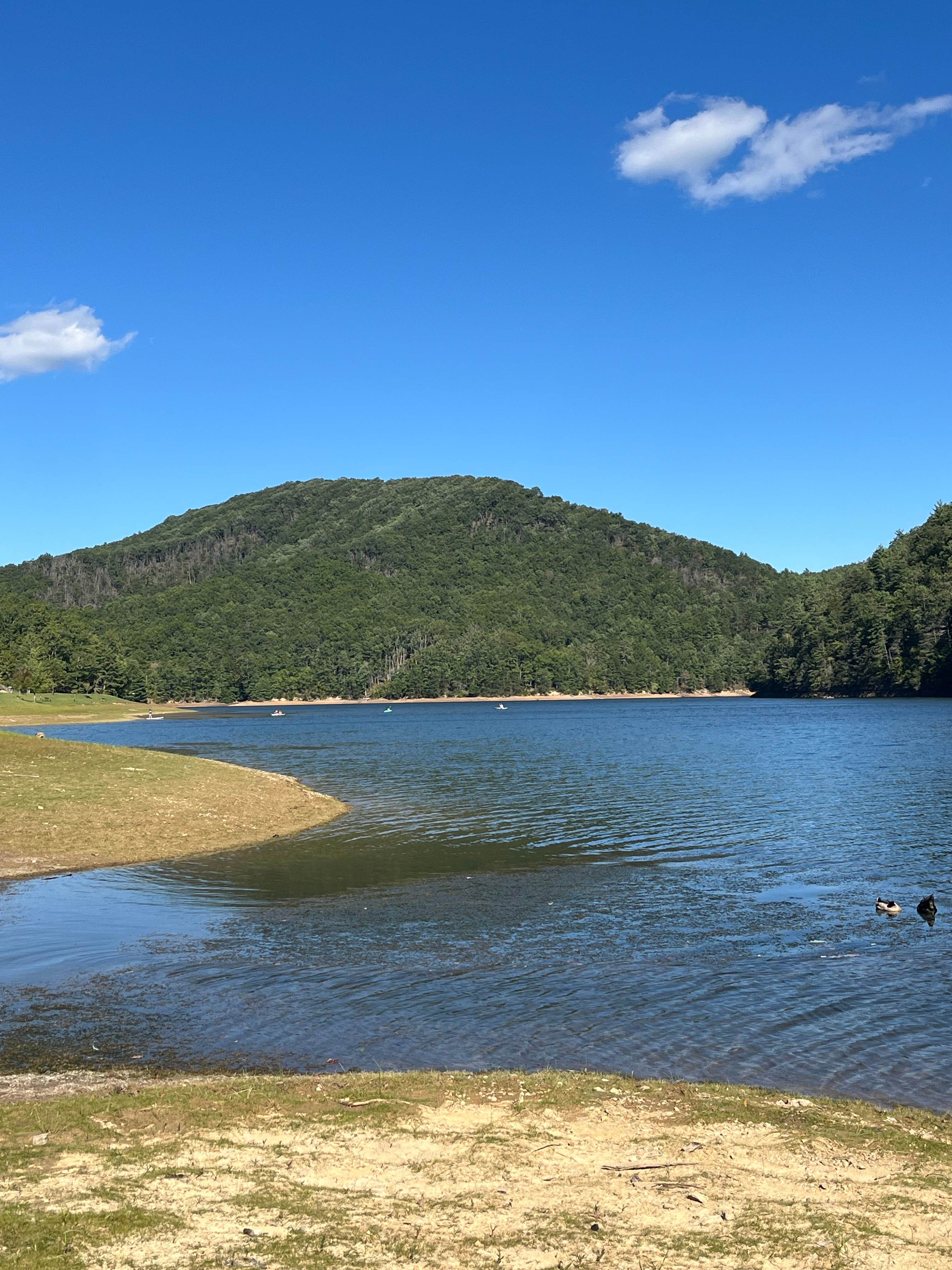 Camper-submitted photo at Gatewood Park & Reservoir Campground near Ripplemead, VA