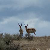Review photo of Gebo Road - Thermopolis by Sally T., May 26, 2026