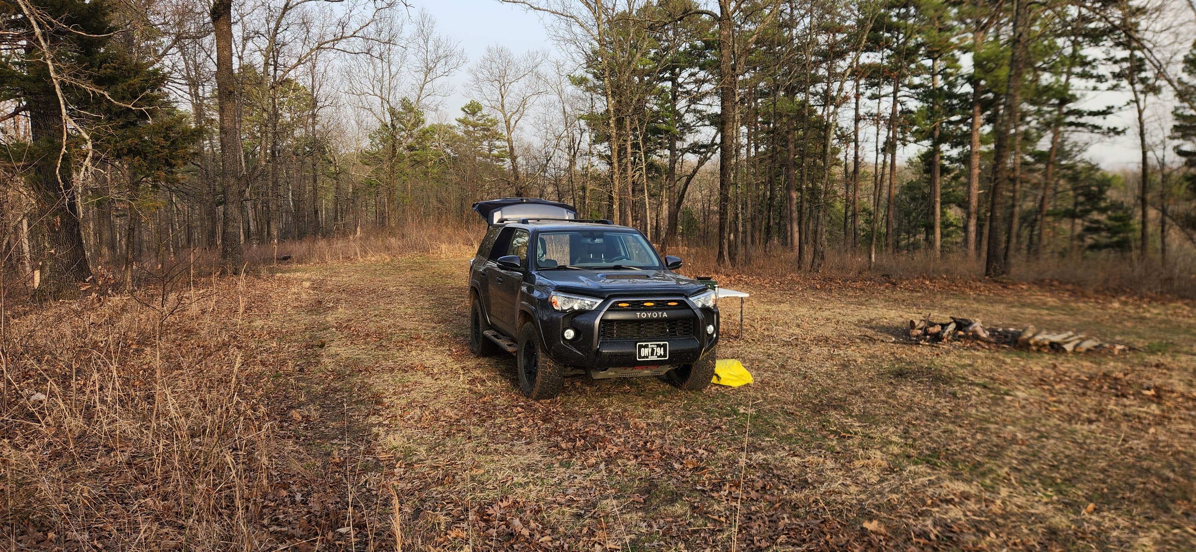 Camper-submitted photo at Gene Rush Wildlife Management Area near Leslie, AR