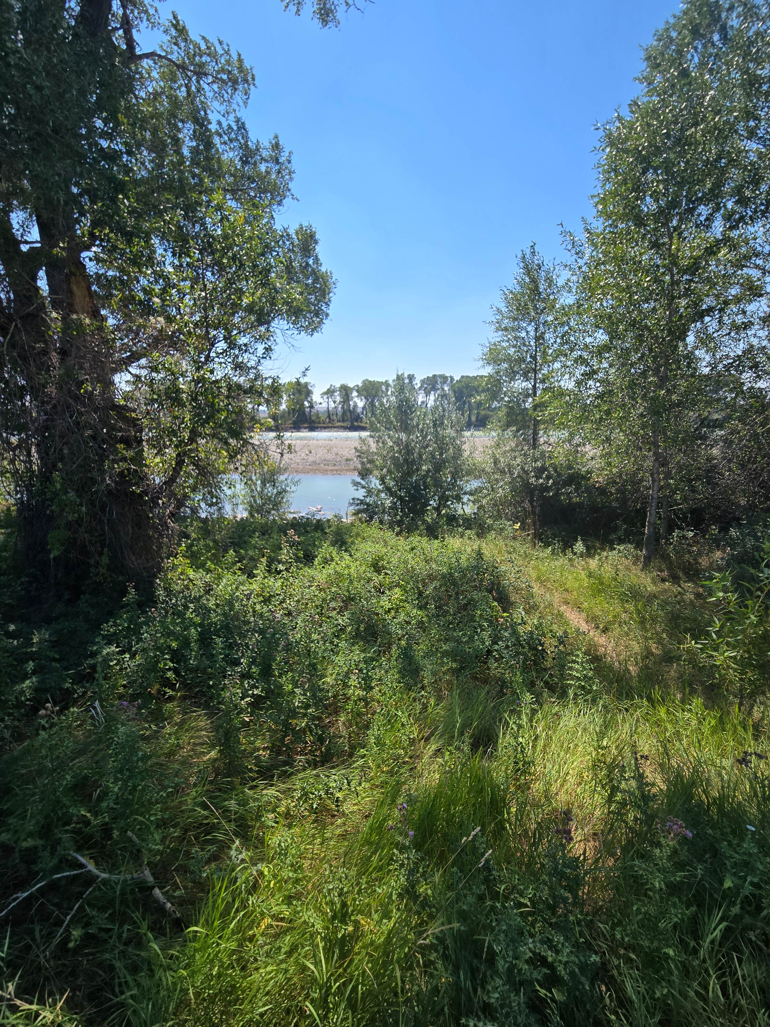 Camper-submitted photo at General Custer Fishing Access Road near Hardin, MT