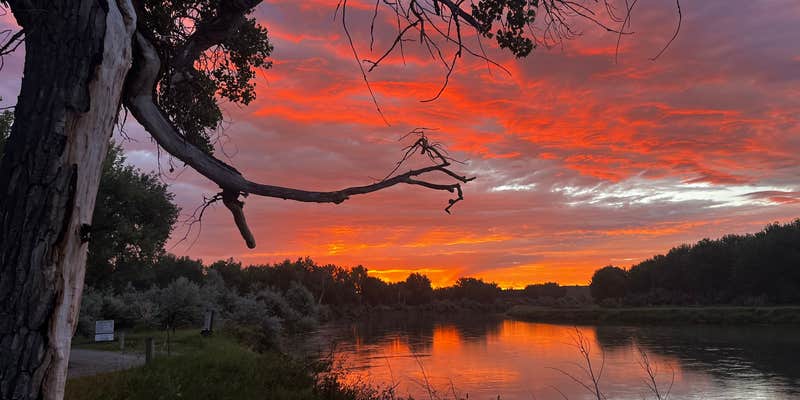 Camper submitted image from General Custer Fishing Access Road