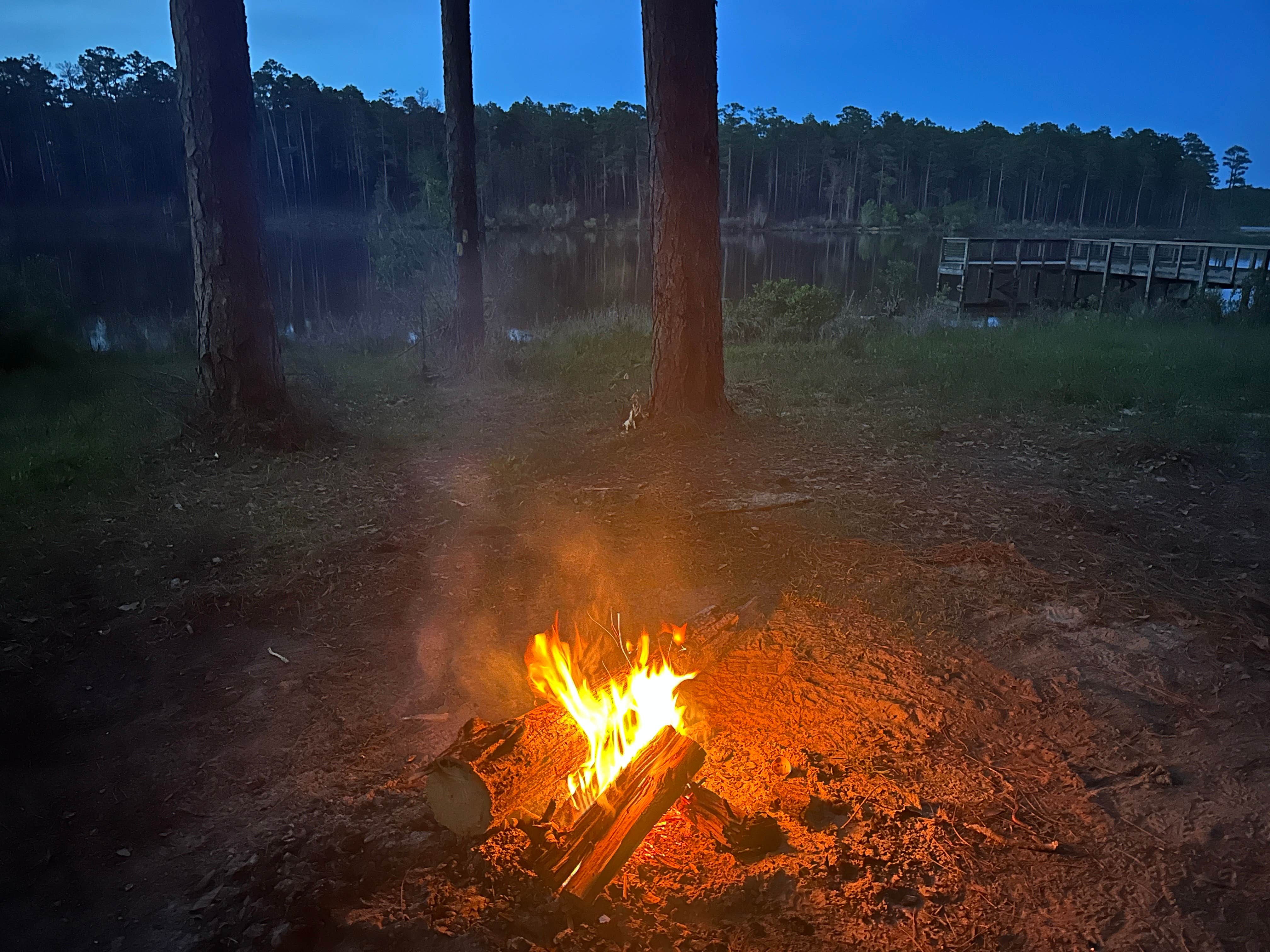 Camper-submitted photo at Geneva State Lake near Bonifay, FL