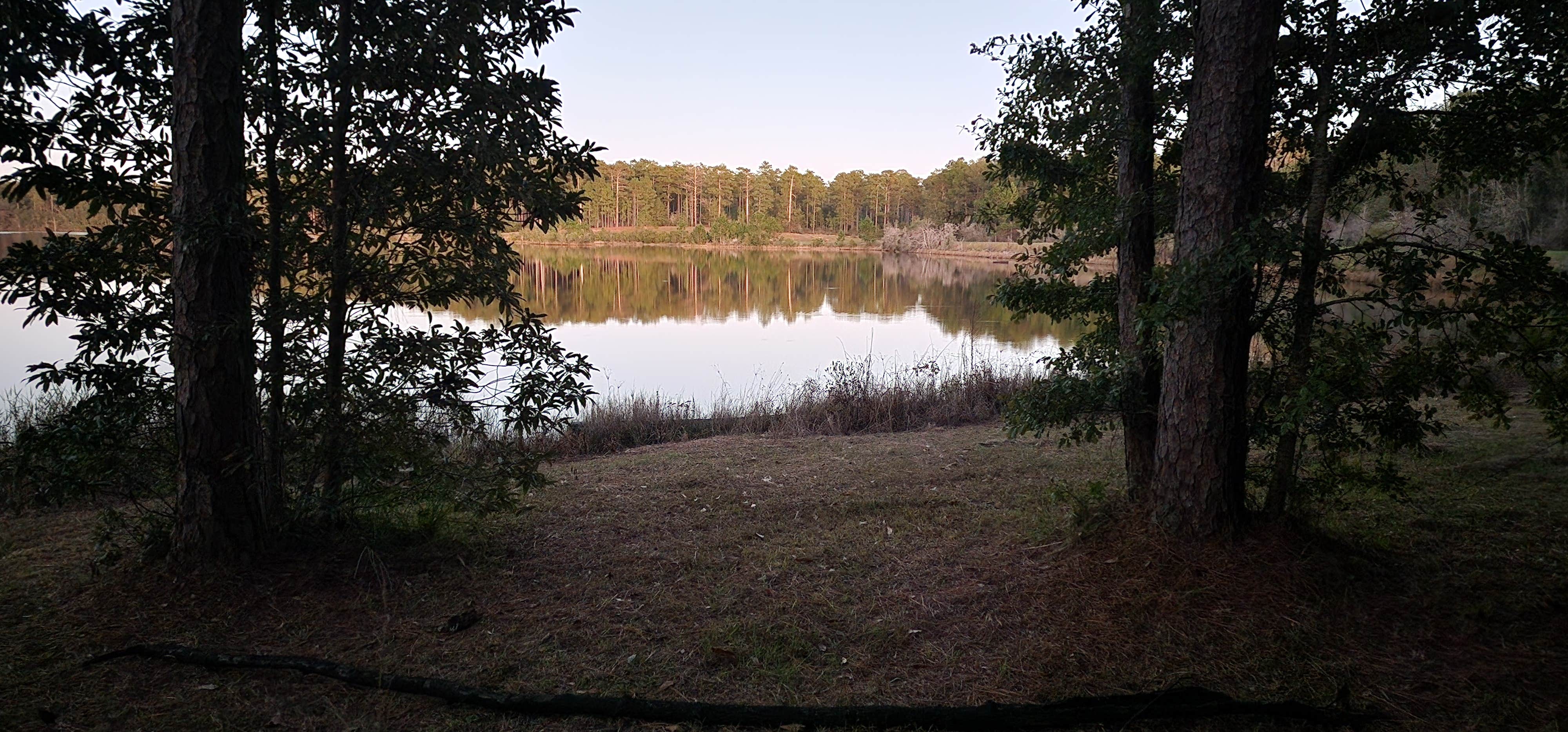 Camper submitted image from Geneva State Lake - 2